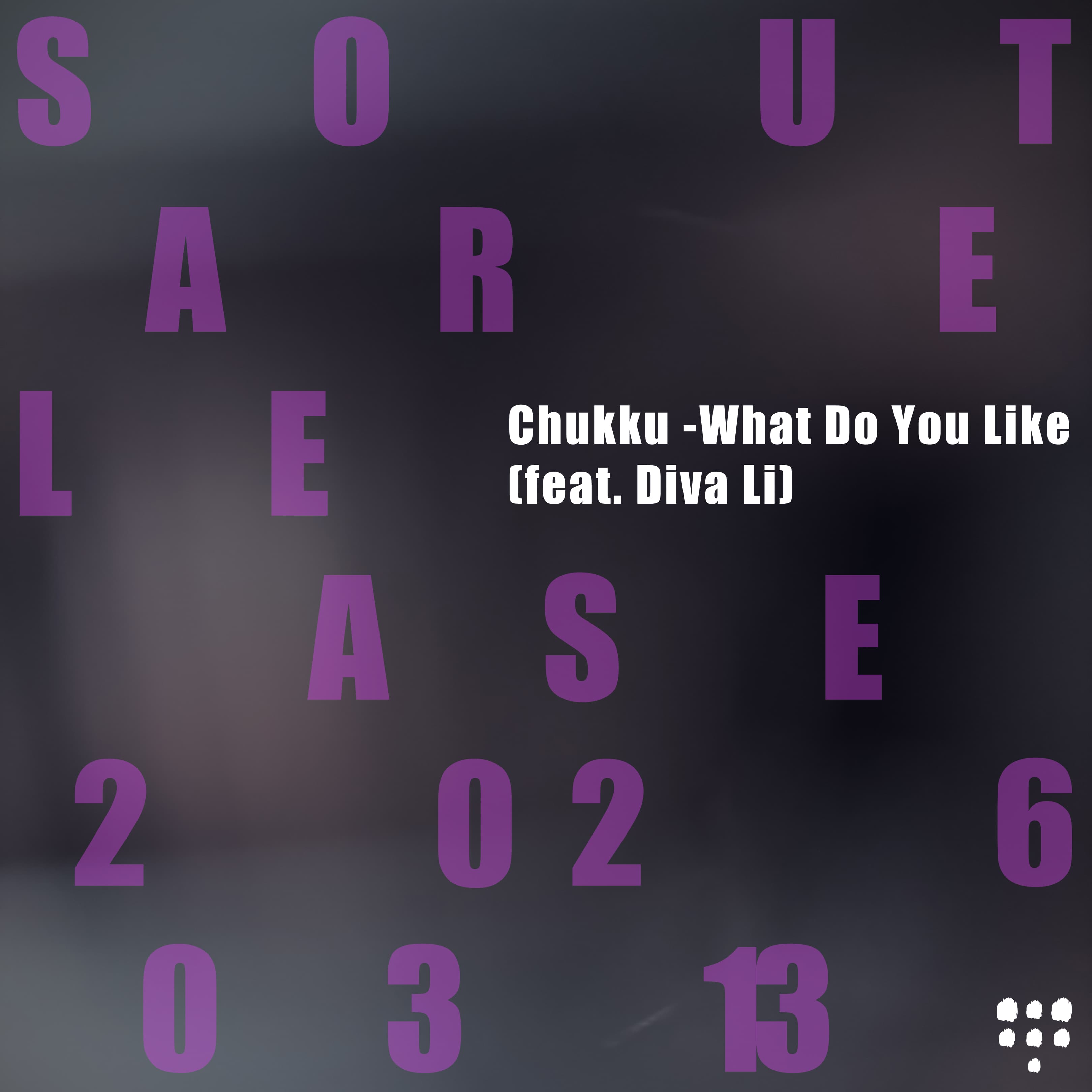 What Do You Like (feat. Diva Li) — Chukku